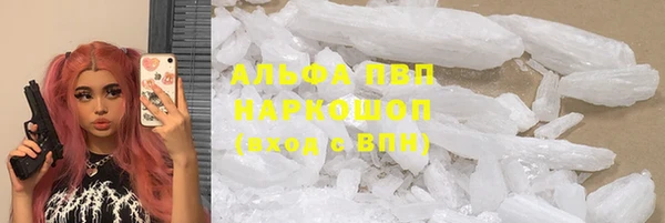 гидра Балахна